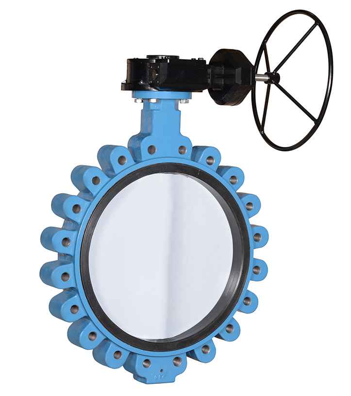 butterfly-lug-valves-detail